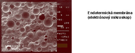 Termokeramická membrána