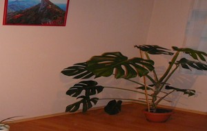 Rodinný dom, Dúbravica, ThermoShield Interieur