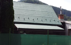 Záhradná chatka, Žilina, Nature + TopShield