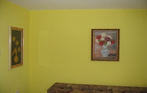 Rodinný dom Rosina, Žilina